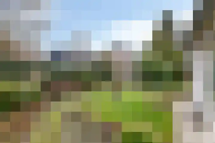 Bernhaldelaan 30 Ellecom thumbnail 50