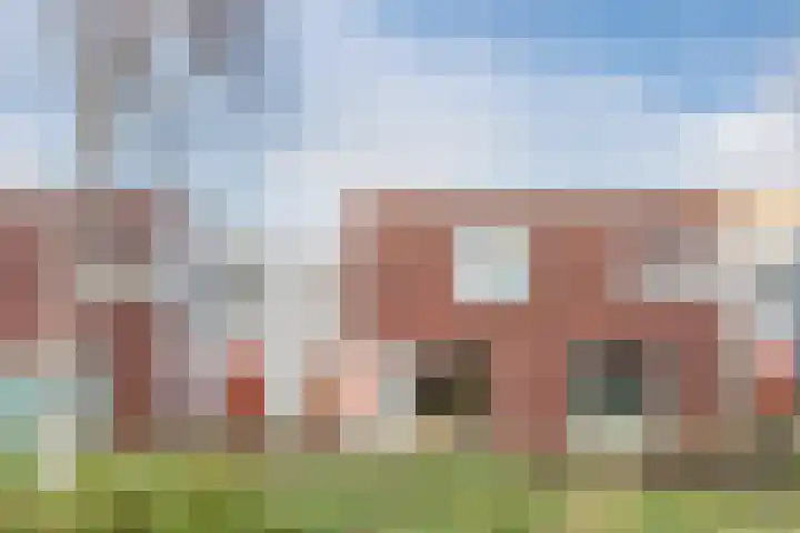 Bernhard Eilershof 5 Amsterdam