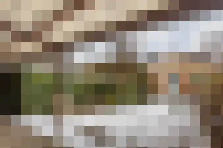 Bernhardlaan 12 Sittard thumbnail 33
