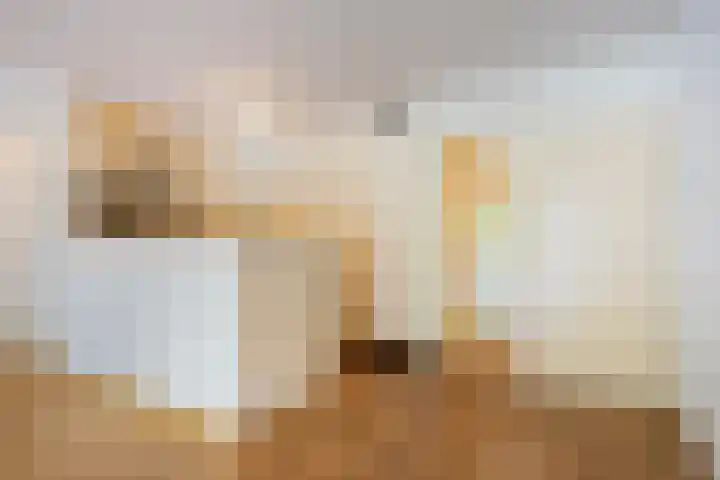 Bernhardlaan 27 Oss thumbnail 19