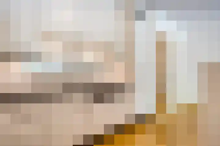 Bernhardlaan 27 Oss thumbnail 21