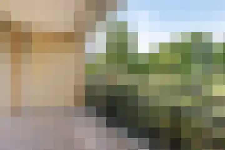 Bernhardlaan 27 Oss thumbnail 23