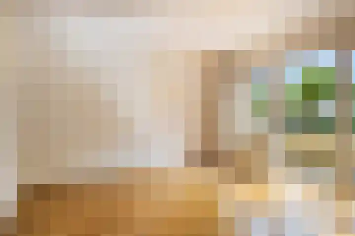 Bernhardlaan 27 Oss thumbnail 25