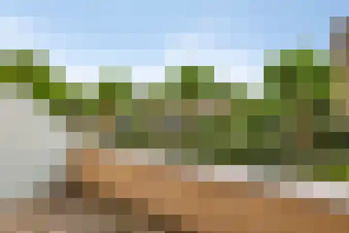 Bernhardlaan 27 Oss thumbnail 27