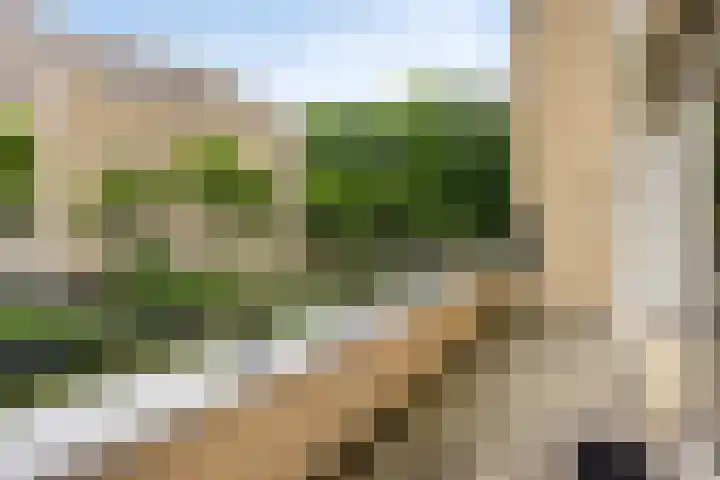 Bernhardlaan 27 Oss thumbnail 28