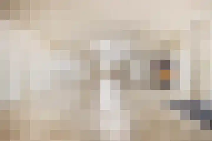 Bernhardlaan 27 Oss thumbnail 34