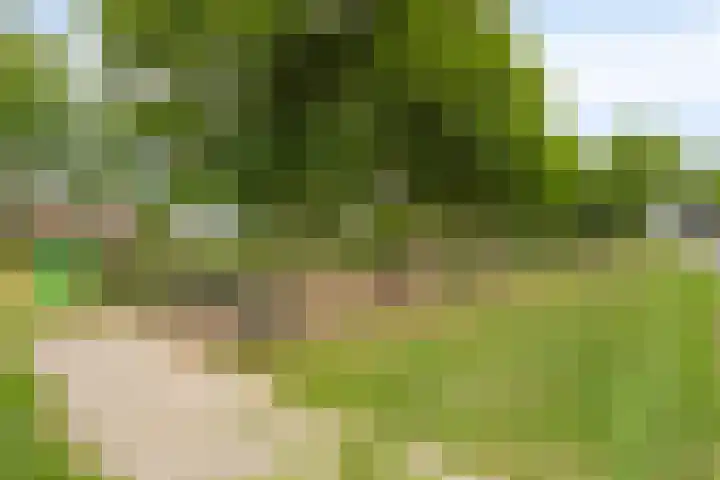 Bernhardlaan 27 Oss thumbnail 37