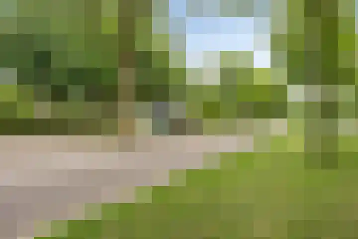 Bernhardlaan 27 Oss thumbnail 38
