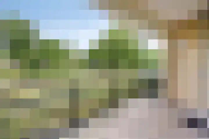 Bernhardlaan 27 Oss thumbnail 6