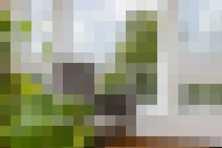Bernhardlaan 27 Sittard thumbnail 11