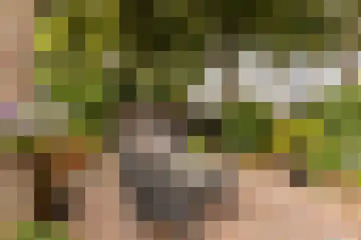 Bernhardlaan 27 Sittard thumbnail 21