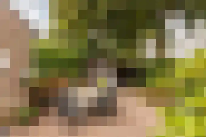 Bernhardlaan 27 Sittard thumbnail 22