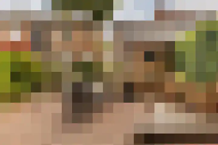 Bernhardlaan 27 Sittard thumbnail 23