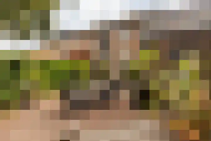 Bernhardlaan 27 Sittard thumbnail 24