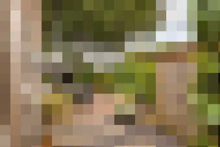 Bernhardlaan 27 Sittard thumbnail 4