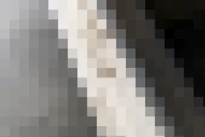 Bernhardlaan 3 Buren thumbnail 18