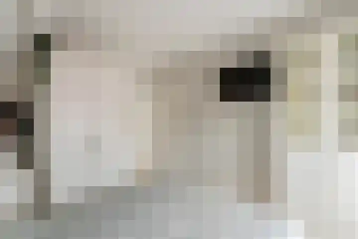 Bernhardlaan 3 Buren thumbnail 42
