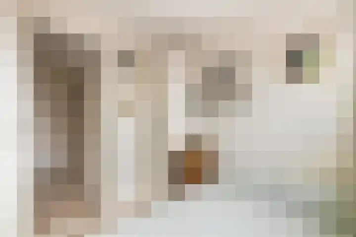 Bernhardlaan 3 Buren thumbnail 44