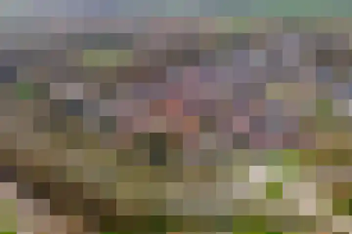 Bernhardlaan 3 Buren thumbnail 50