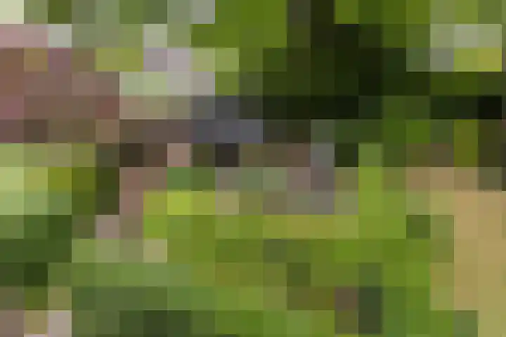 Bernhardlaan 30 Sittard thumbnail 18