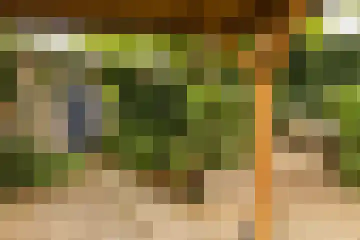 Bernhardlaan 30 Sittard thumbnail 19