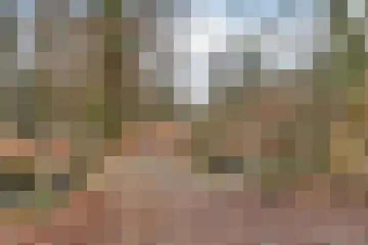 Bernhardlaan 35 3 Arnhem thumbnail 31