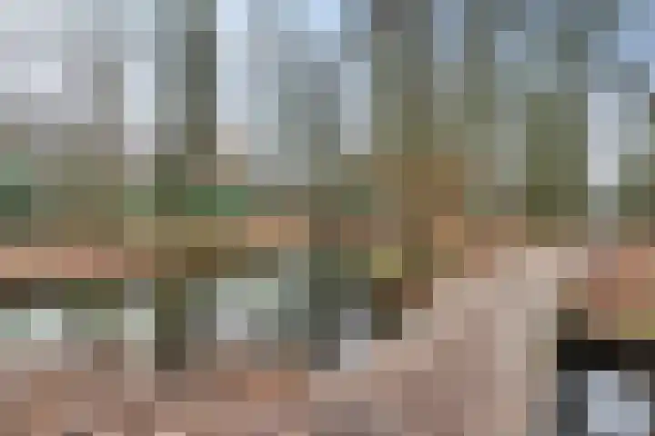 Bernhardlaan 35 3 Arnhem thumbnail 32