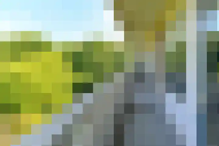 Bernhardlaan 41 4 Arnhem thumbnail 26