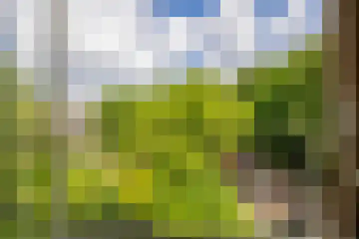 Bernhardlaan 45 4 Arnhem thumbnail 16