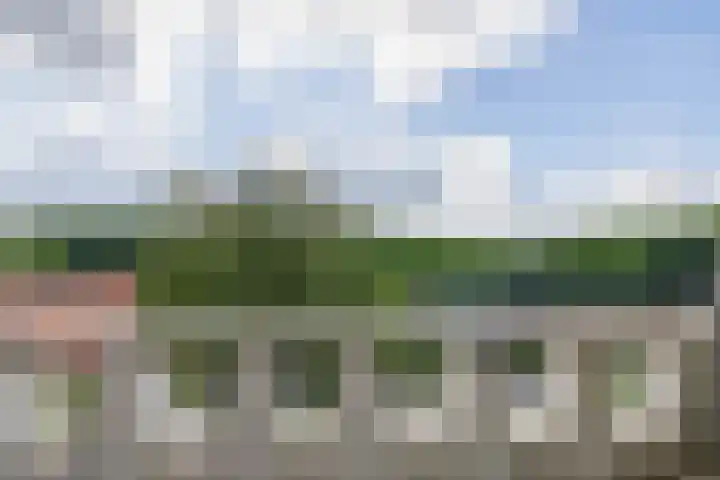 Bernhardlaan 45 4 Arnhem thumbnail 29