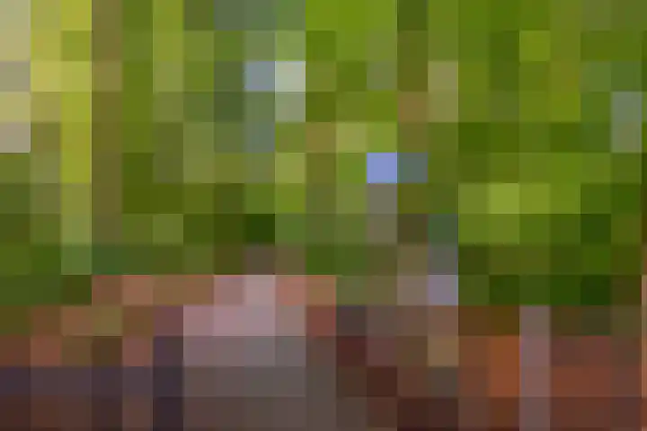 Bernhardlaan 45 4 Arnhem thumbnail 47