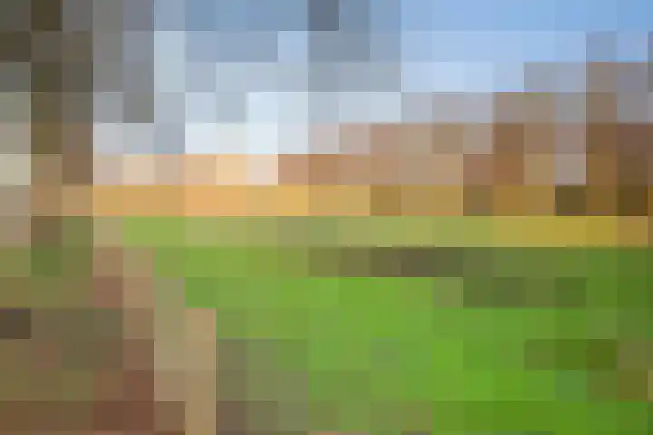 Bernhardlaan 49 Monnickendam thumbnail 36
