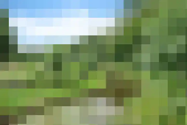 Bernhardlaan 50 Monnickendam thumbnail 38
