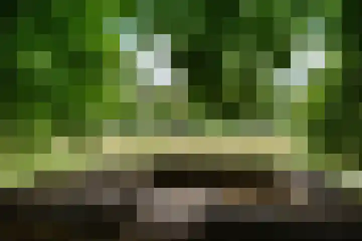 Bernhardlaan 50 Monnickendam thumbnail 40