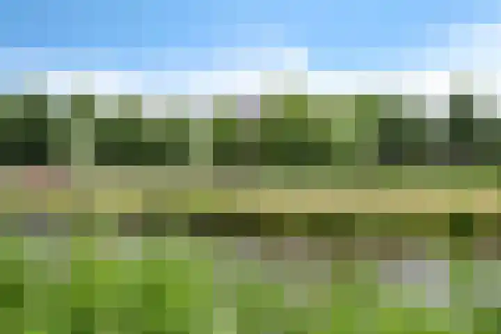 Bernhardlaan 50 Monnickendam thumbnail 41