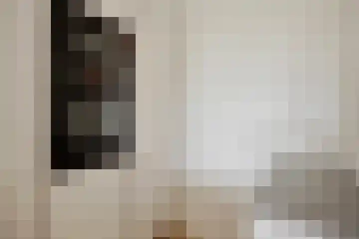 Bernhardlaan 65 Oss thumbnail 16