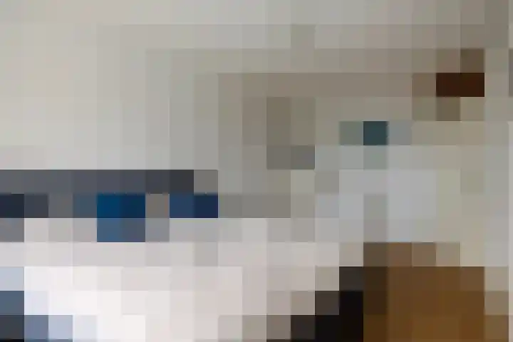 Bernhardlaan 65 Oss thumbnail 20