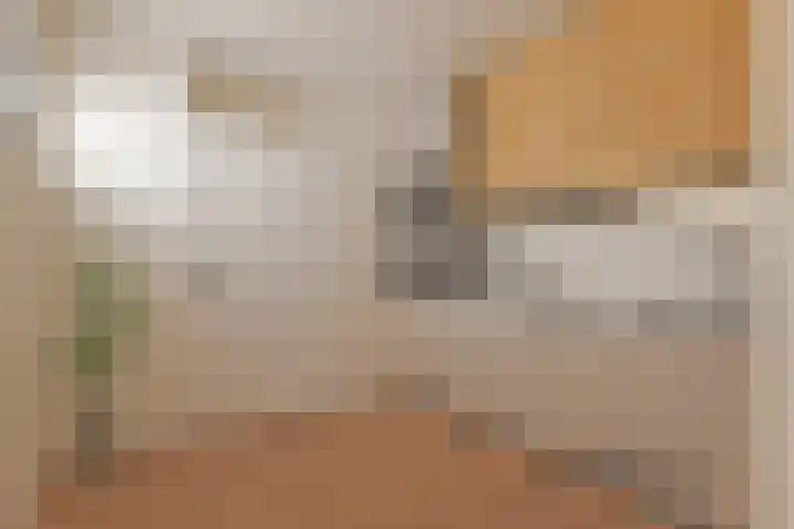 Bernhardlaan 69 Oss thumbnail 19