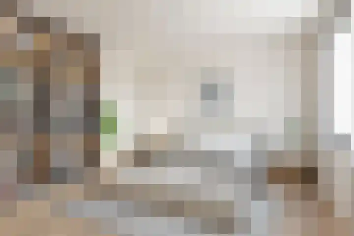 Bernhardlaan 69 Oss thumbnail 23