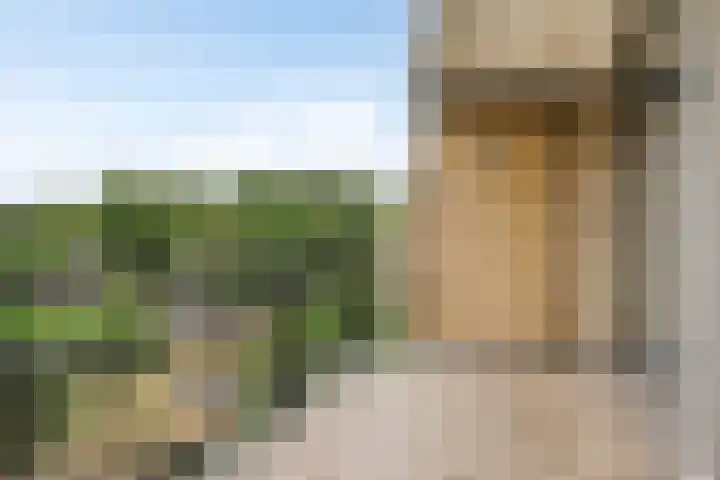 Bernhardlaan 69 Oss thumbnail 32