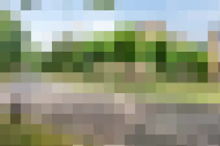 Bernhardlaan 69 Oss thumbnail 38