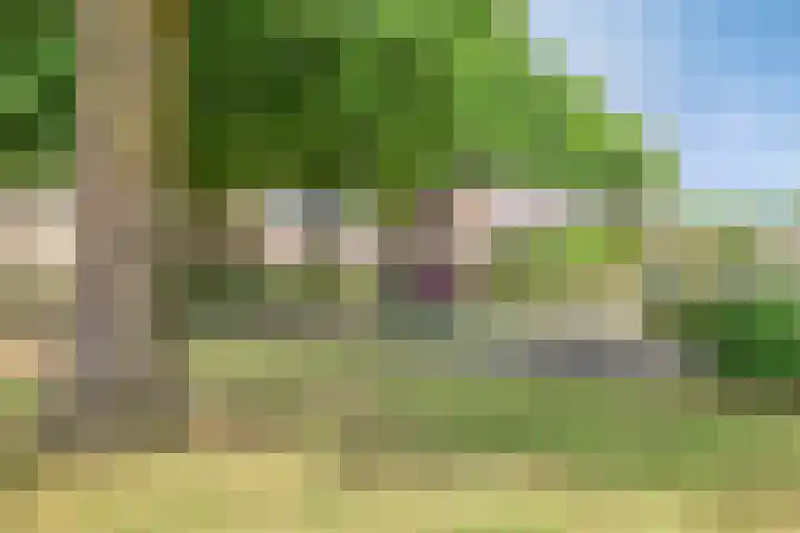 Bernhardlaan 69 Oss thumbnail 39