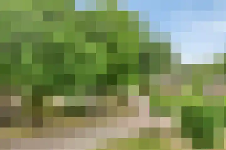 Bernhardlaan 69 Oss thumbnail 40