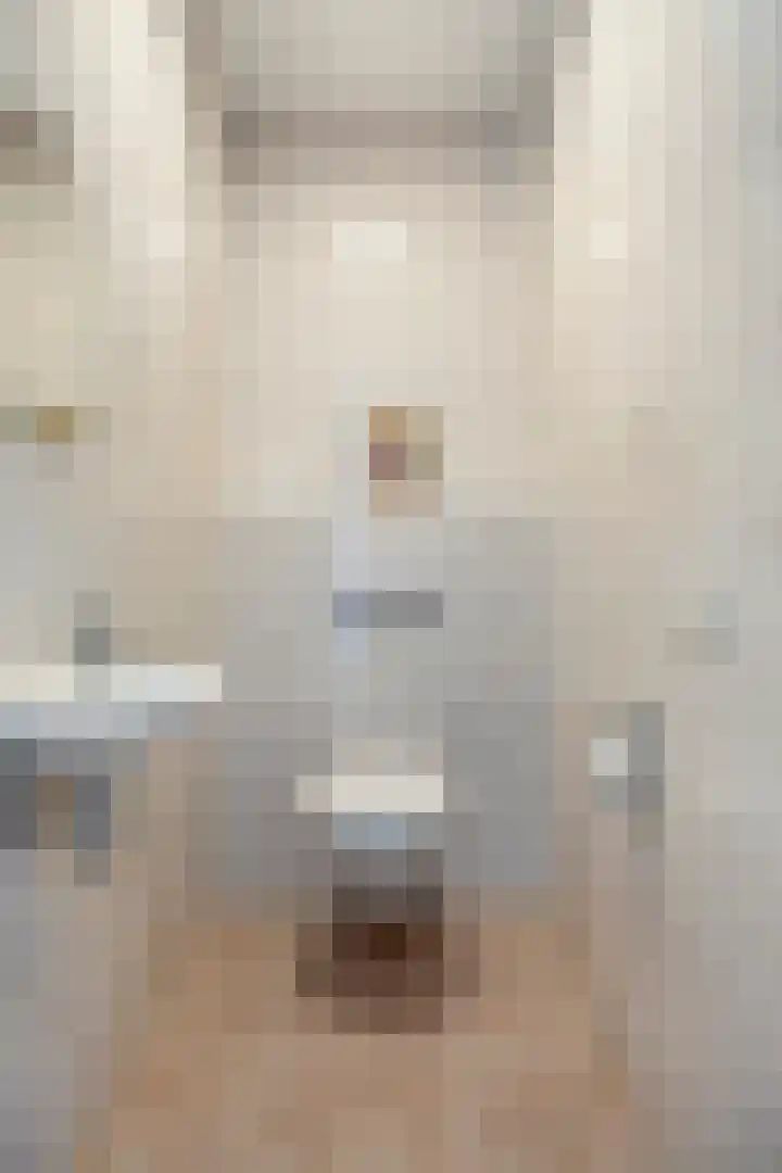 Bernhardlaan 69 Oss thumbnail 9
