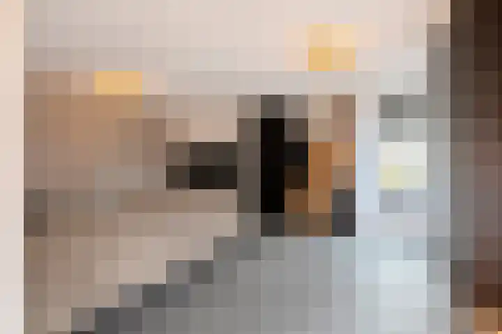 Bernhardlaan 7 Oostwold thumbnail 11