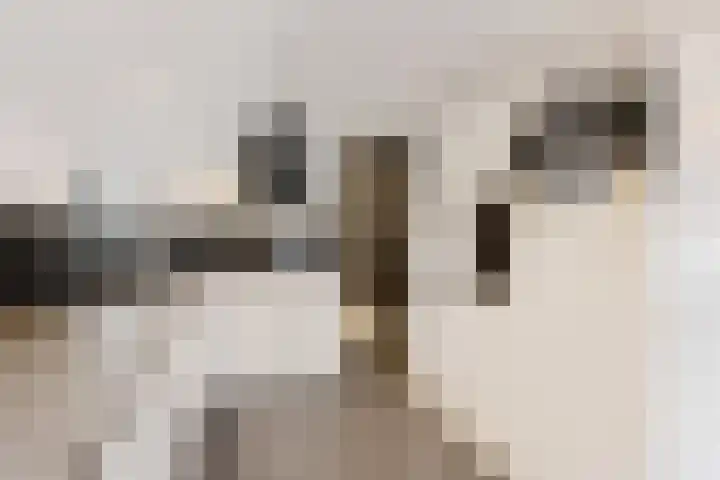 Bernhardlaan 7 Oostwold thumbnail 17