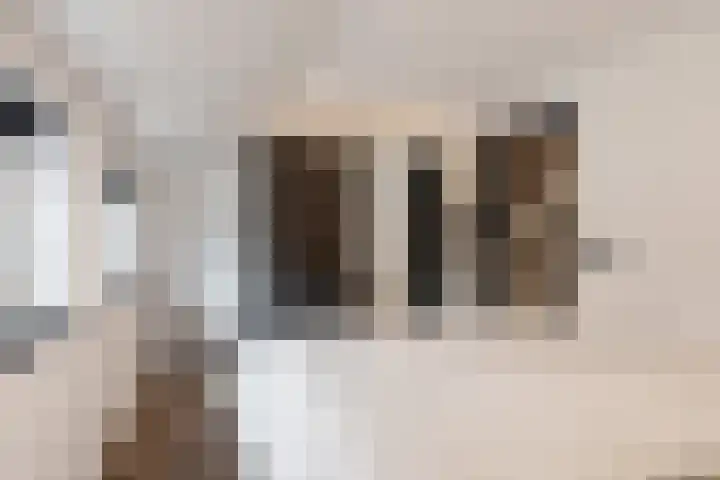 Bernhardlaan 7 Oostwold thumbnail 27