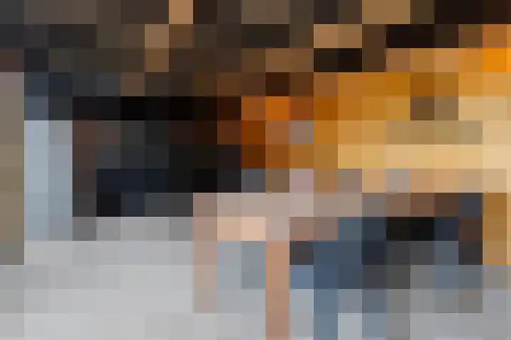 Bernhardlaan 7 Oostwold thumbnail 30