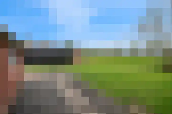 Bernhardlaan 7 Oostwold thumbnail 38
