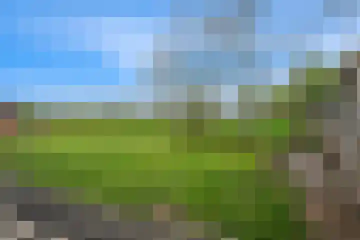 Bernhardlaan 7 Oostwold thumbnail 39